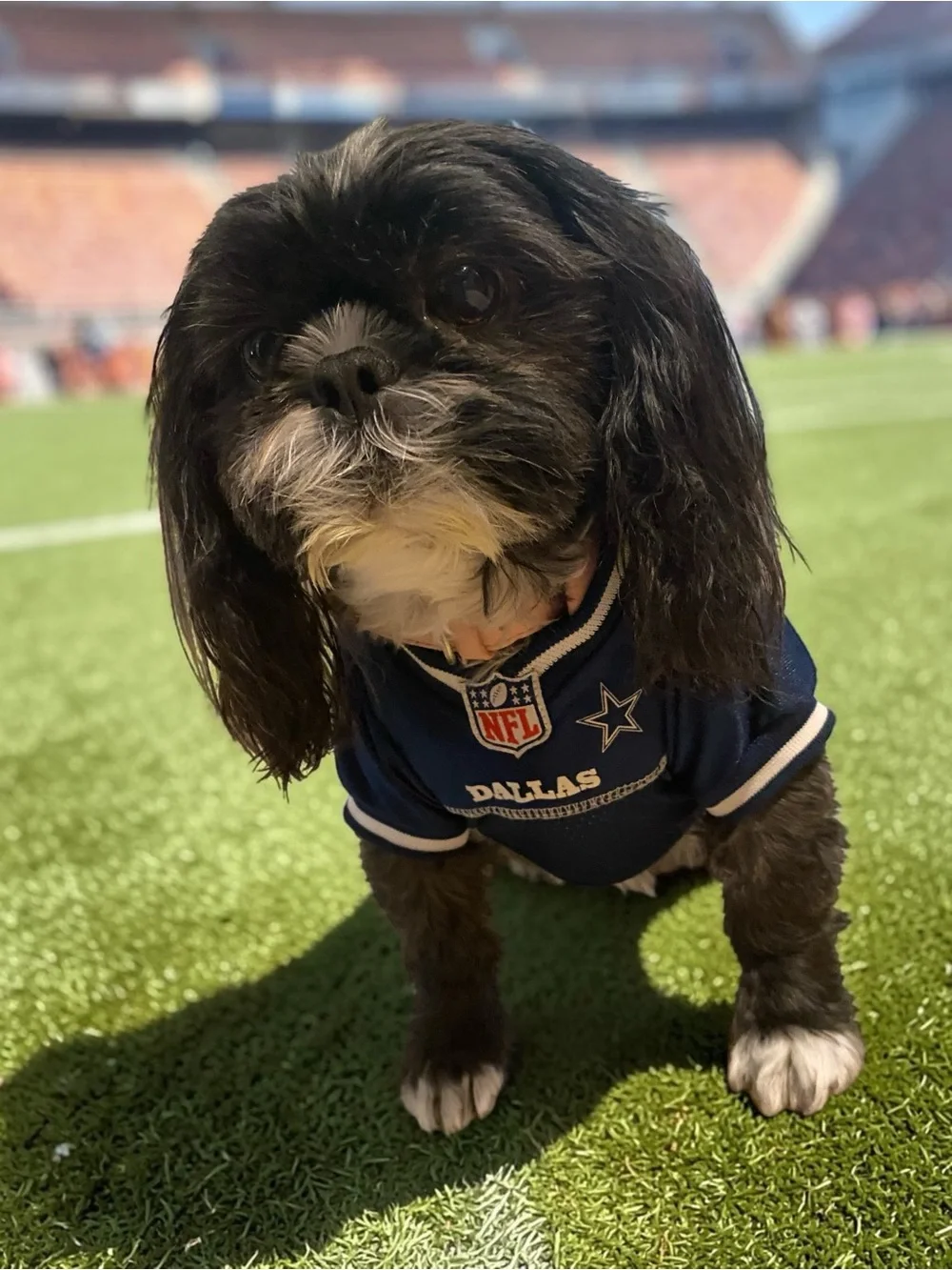 Pets First NFL Dallas Navy Blue Dog Jersey with Star Patch Size Small